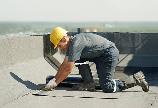 Best Insulation Maintenance and Repair in Oquawka, IL