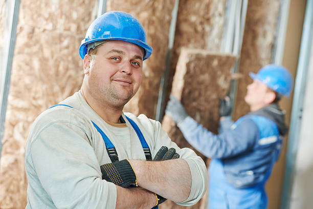 Best Insulation Installation Services in Oquawka, IL